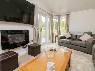 Ridge's Retreat No 7 Kigbeare Lodges - Okehampton - 4
