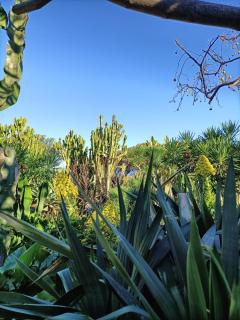 dammuso rosa - Pantelleria - 9