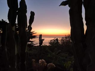 dammuso rosa - Pantelleria - 7