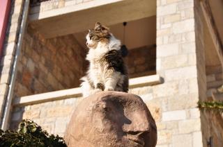 Leventis Art Suites - 1