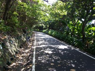 花蓮阿羅國際青年旅舍民宿 - Città di Hualien - 1