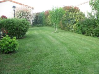 AGAPANTHE - Saint-Georges-lès-Baillargeaux - 3
