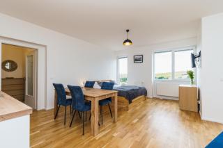 Horský apartmán Temari 1 Klínovec - Loučná pod Klínovcem - 5