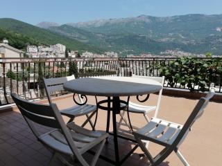 Lovely apartment with big terrace in Budva - 0