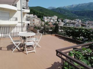 Lovely apartment with big terrace in Budva - Budva - 8