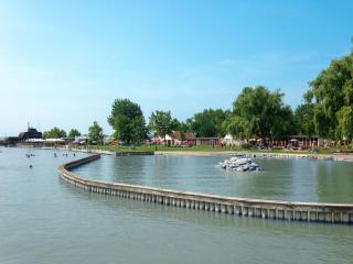 Apartment Fuchs-1 by Interhome - 1