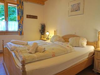 Apartment Helmreich-5 by Interhome - 3