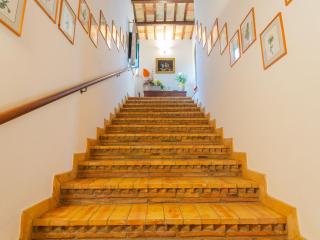 Holiday Home Il Noceto by Interhome - 1