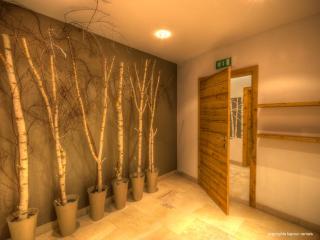 Kaprun Mountain Resort by Kaprun Rentals - Kaprun - 2