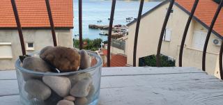 Apartmani Marijan Zavala - Zavala - 7
