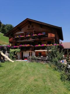 Kuanerhof Wohnung 2-4 Personen - Ried im Zillertal - 0