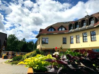 Apartment Harrachov 611-1 by Interhome - Harrachov - 5