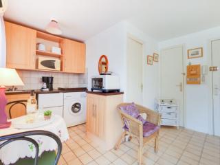 Studio Le Byblos by Interhome - Saint-Cyprien-Plage - 1