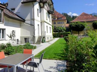 Apartment Henry's 100 by Interhome - Interlaken - 2