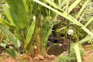 Tranquil Homestays - Naro Moru - 4