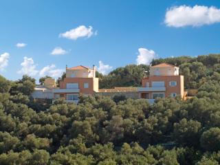 Olive Tree Hillside Apartment - Stalós - 1