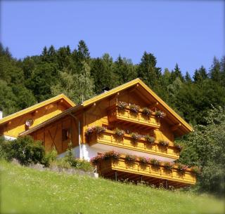 Appart Tramontana - Bürserberg - 8