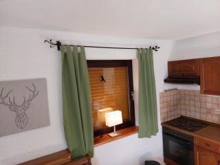 Arber Apartments - Zwieslerwaldhaus - Lindberg - 6