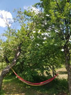 Viata la Tara Cerna - 1