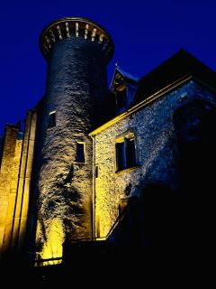 Superbe appartement au château d'Allaman de 80m2 - Lugrin - 5
