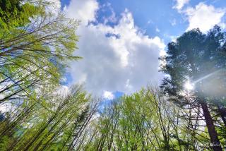 Pension Master - Sinaia - 4