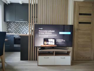 Apartament ZDRÓJ - Busko-Zdrój - 3