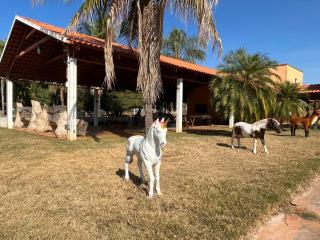 Hotel Fazenda Flamarion - Lagoa Santa - 9