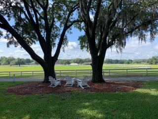 The Grand Oaks Resort - Weirsdale - 7