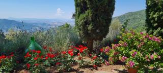 COPPA DI SOPRA - Beautiful villa with swimming pool and superb view - 9