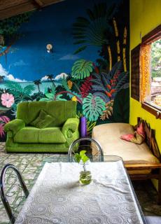 Ammonite Hostel - Itacaré - Itacaré - 7