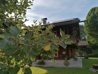 Chalet Fasserhäusl - Finsing - 8