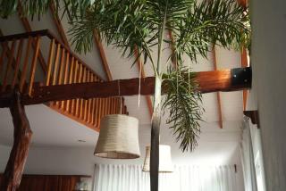 Casa Moes - Cahuita - 3