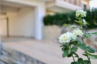 Μικρό διαμέρισμα της Αγγελικής με αυλή και parking - Kalamata - 8