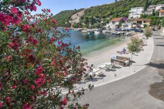 Apartmani Dora - 7