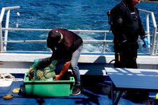 Dildo Boathouse Inn - 6