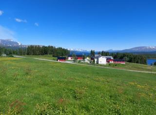 Villmarksgård camping - Hattfjelldal - 0