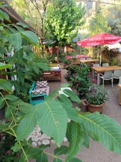 Canario Bungalows - 4