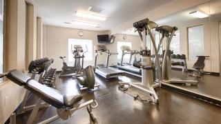 Best Western Bonnyville Inn & Suites - Bonnyville - 8