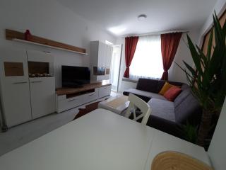 Apartman Kerkez - Soko Banja - 3