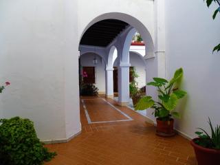 ACOGEDOR APARTAMENTO EN SANLUCAR DE BARRAMEDA - Sanlúcar de Barrameda - 8