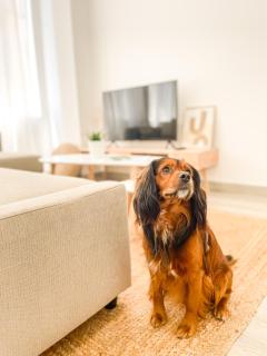 A Lobeira Grande by ALÔGA - 3