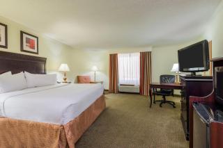 Holiday Inn Mobile Downtown Historic District by IHG - Mobile - 2