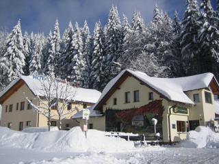 Hotel & Gasthaus Sterngrund - Zella-Mehlis - 5