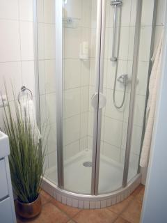 Ferienwohnung in Seewalchen - Seewalchen - 2