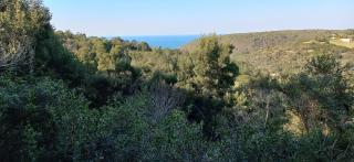 Oriole Serene Self Catering Studio - George - 3