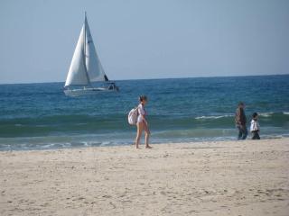 studio in Herzliya, near IDC & PARK - 5