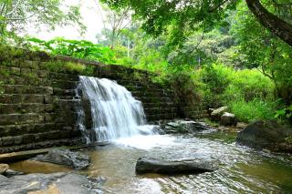Giri Darshini Homestay - Simple Rooms with Pool & Private Falls - Chikmagalur - 9