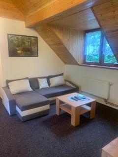 Penzion U Orla - Petříkov - 5