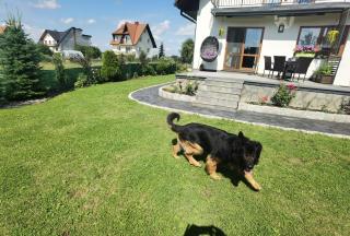 Apartament pod Obłazową - 4