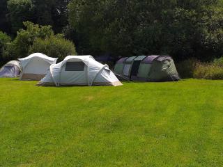 St Mullins Camping - Saint Mullins - 5